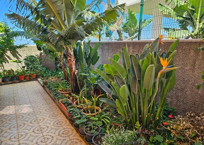 בית נופש Casa De Feria Do Livramento