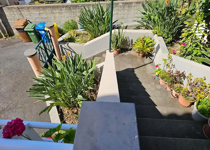 Casa De Feria Do Livramento פונשל