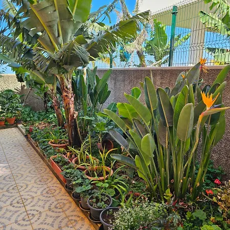 Дом отдыха Casa De Feria Do Livramento